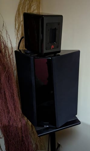 Customer photo review of RST Aluminum Ribbon Super Tweeter Speaker Pair