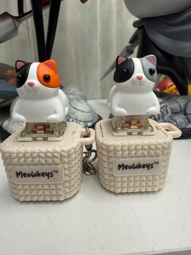 Customer photo review of Meowkey - Fidget Toy that Meows!