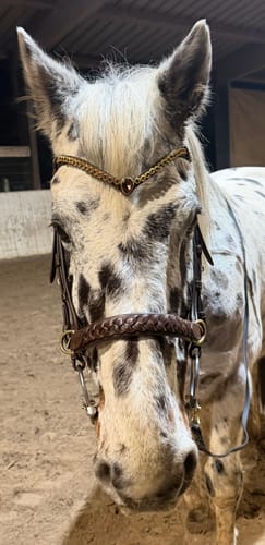 Customer photo review of Golden Burgundy