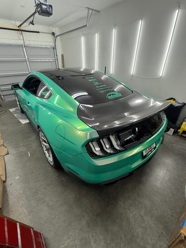 Customer photo review of 2015-23 Ford Mustang Super Snake Style Replacement Rear Trunk Lid