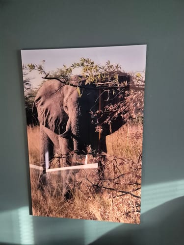 Customer photo review of Acrylglasbild | Eigenes Motiv | Hochformat