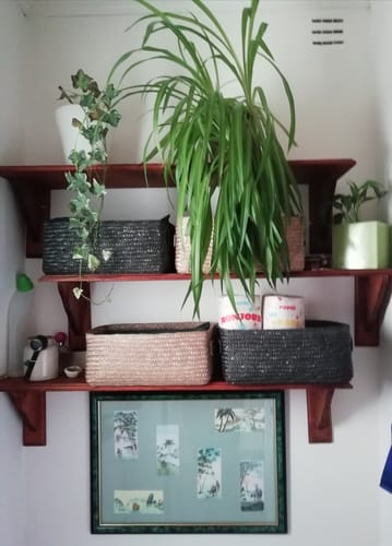 Client montrant des rouleaux de papier toilette Beau et Doux avec leur emballage décoratif, rangés dans un panier sur une étagère.