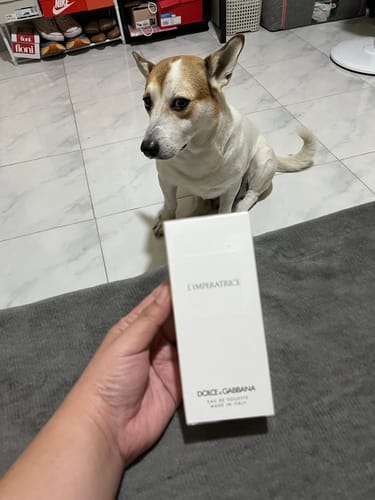 Customer photo review of Dolce & Gabbana L'Imperatrice 3 EDT 100ml