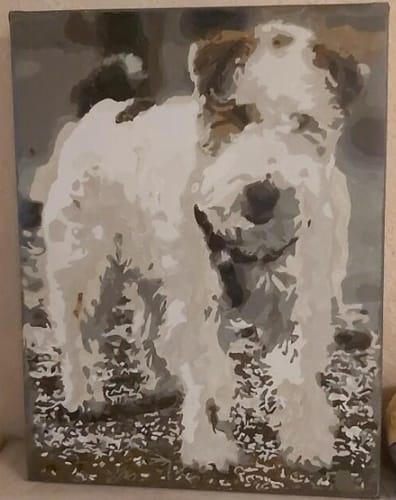 Customer photo review of Custom Pet Paint By Numbers