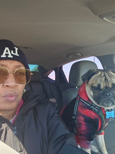 Reviewer with their pug, Tyson, sitting in a car. The reviewer says he gets excited for his treats.