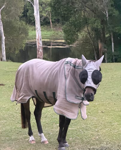 Customer photo review of Rambo Flybuster Vamoose NFZ