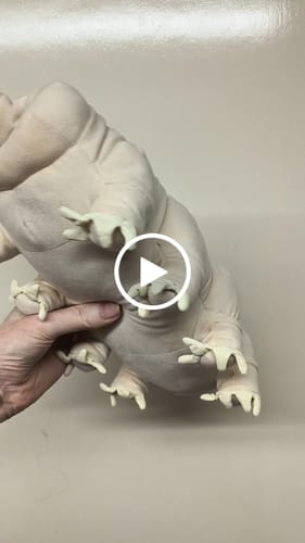 Customer video review of Tardigrade Water Bear Soft Stuffed Plush Toy