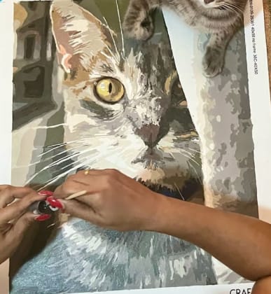 Customer photo review of Custom Pet Paint By Numbers