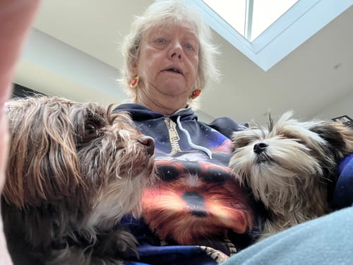Customer photo review of Yorkshire Terrier Galaxy Hoodie V1