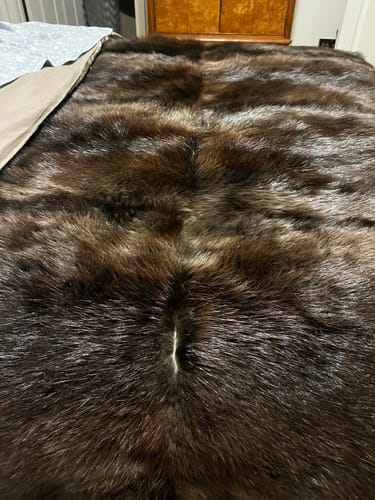 Customer photo review of Beaver Fur Blanket