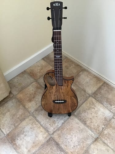 Customer photo review of KA-OWL-MNG-TE Revelator® Night Owl Mango Tenor Ukulele Electric