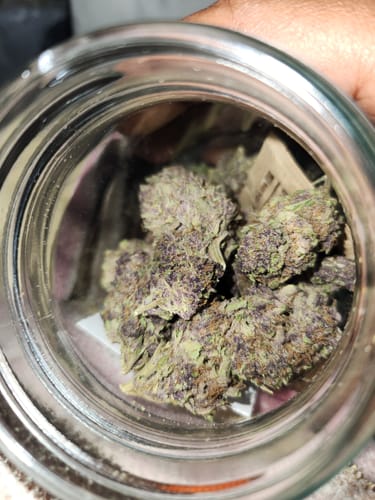 Customer photo review of Cheap THCA Flower Ounce (28g)