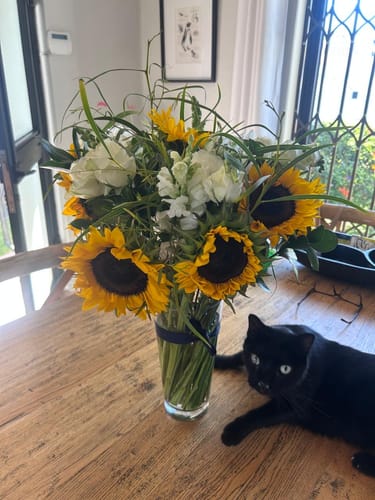 Reviewer's Sunflower Garden Flower Bouquet in a clear vase on a wooden table, with a black cat lying nearby.
