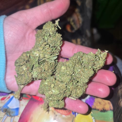 Customer photo review of Black Ice THCA Flower Ounce (28g)