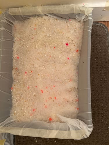 Customer photo review of 3 Month Supply - 1 Cat