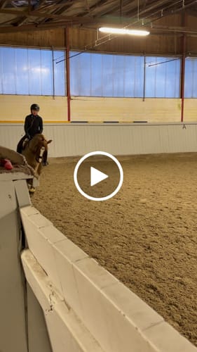 Customer video review of Strotonin Nerve Support