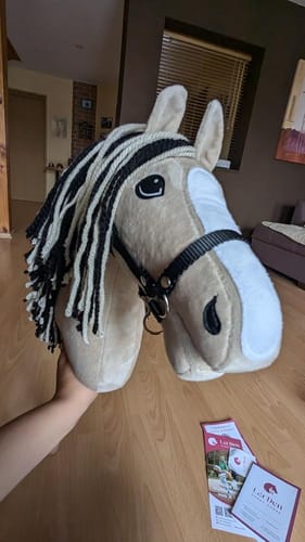 Customer photo review of Hobby Horse Aurora with Black Halter