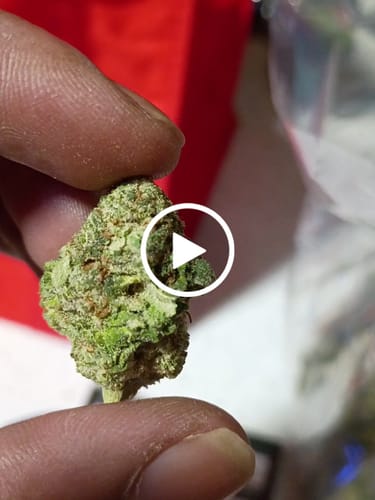Customer video review of Budget Buds THCA Flower