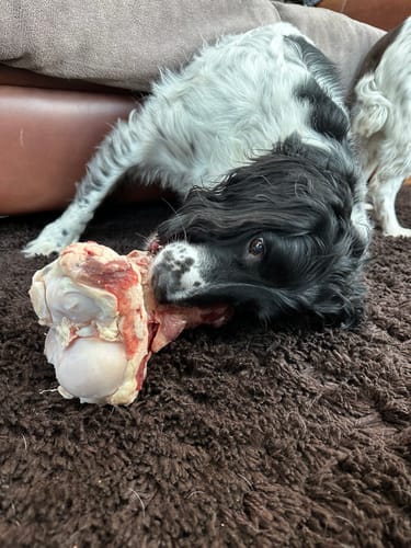 Customer photo review of Buy 2 + 1 Free