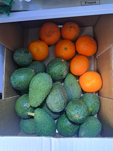 Ein Kunde zeigt die erhaltene Retterbox voller frischer Avocados und einiger Clementinen in einer Kiste.