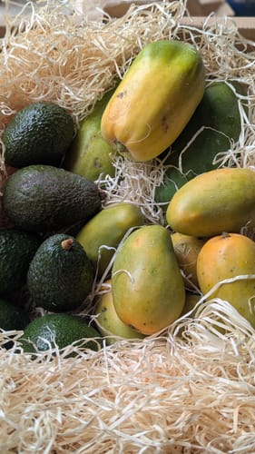 Kundenbild der bestellten Avocados, gemischt mit anderen Früchten in einer Kiste mit Holzwolle.