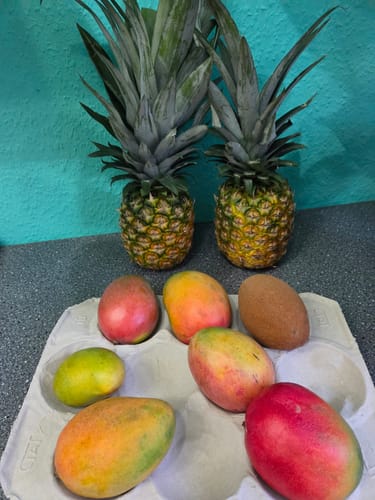Kundenfoto von verschiedenen bunten Mangos aus der Mango-Träume Mix-Box in einer Pappschale.
