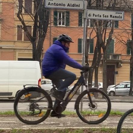 Customer photo review of Electric Trekking Bike C1