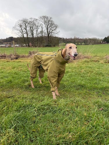 Customer photo review of ThermaLuxe - Fleece-Lined Trouser Suit Coat