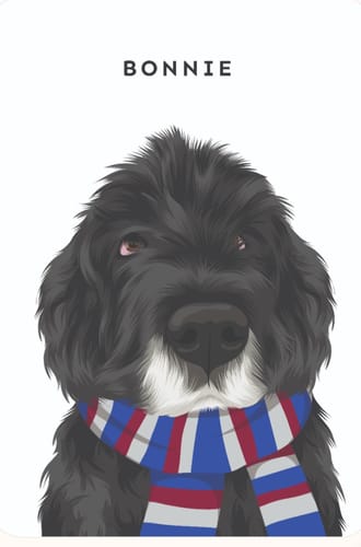 Reviewer's Custom Pet Portrait of a fluffy black dog named Bonnie wearing a red, white, and blue striped scarf.
