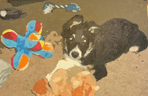 Customer photo review of Custom Pet Paint By Numbers