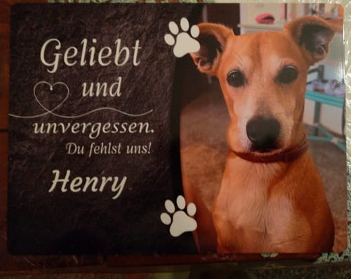 Customer photo review of Hunde Gedenktafel mit Foto & Spruch (UV- & Wetterfest)