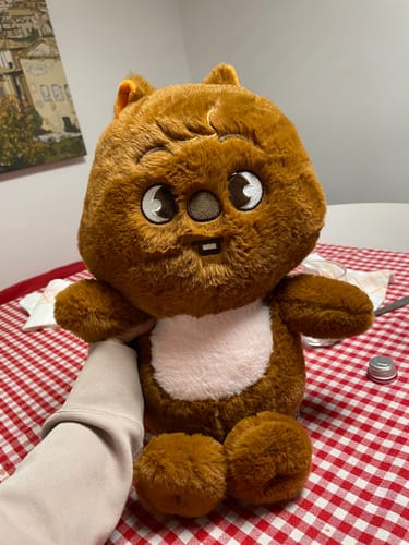 Customer photo review of SKZ Teddybear Plush