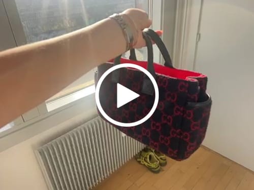 Customer video review of Hand Bag