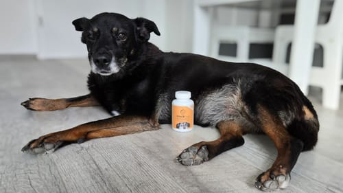 Customer photo review of Senior Vital Tabletten