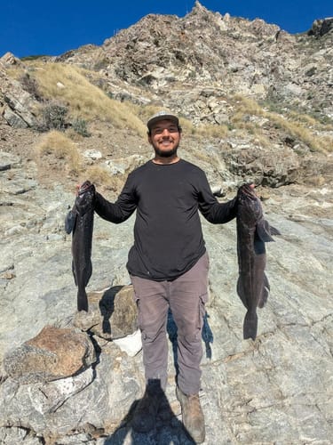 Customer photo review of 9'4" No Excuses Surf Travel Rod with Tube Medium-Heavy Action 3/4oz to 3oz