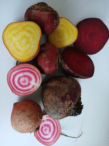 Kunde zeigt das bunte Bete Trio. Rote, gelbe und Ringelbete sind aufgeschnitten und im Ganzen zu sehen.