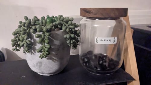 Customer photo review of Mushroom Gummies