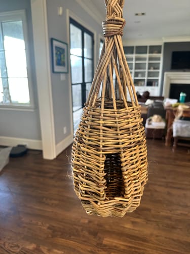 Customer photo review of Getting Started with Willow Course and Kit