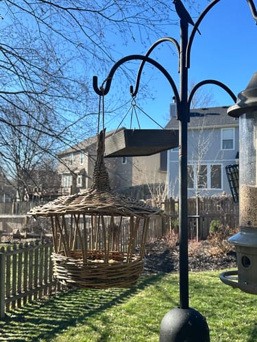 Customer photo review of The Willow Bird Feeder Course and Kit