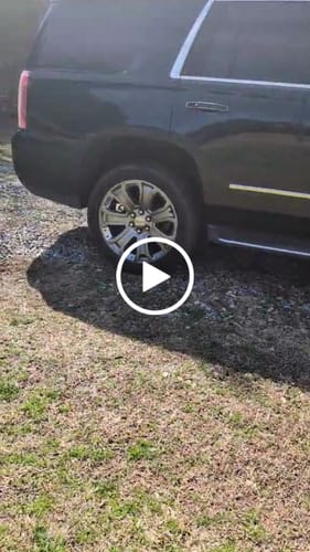 Customer video review of Email Tune | MAILORDERTUNER