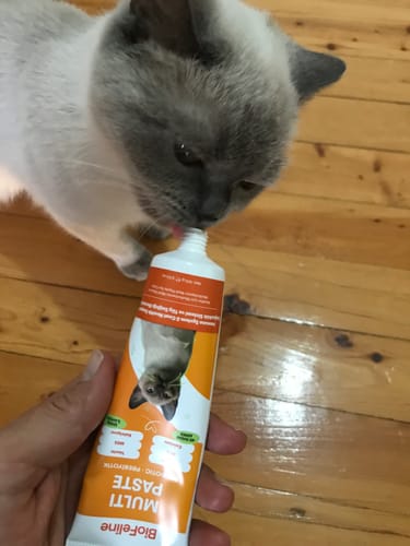 Customer photo review of Tüy Yumağı ve Bağışıklık Zayıflığı Azaltıcı Kediler İçin Multivitamin Macunu 100 g