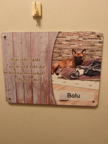 Customer photo review of Hunde-Türschild personalisiert mit Foto & Text (UV- und wetterfest)