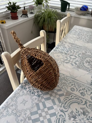 Customer photo review of The Bird Box - Course and Kit