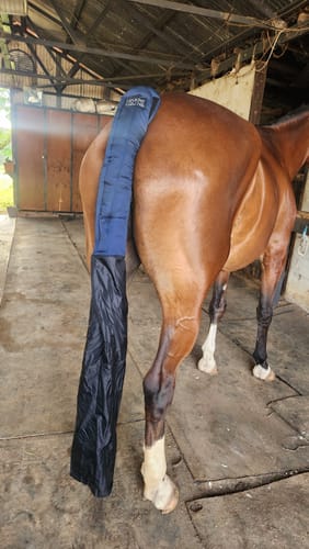 Customer photo review of LE Travel Tail Wrap