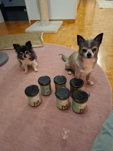 Customer photo review of OH MY DOG! Lamm