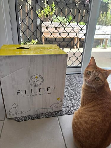 Customer photo review of Fit Litter