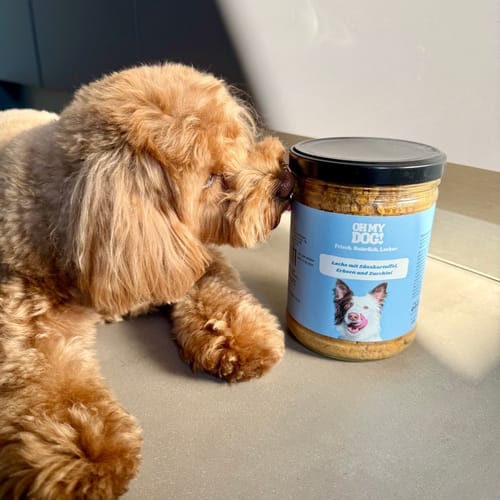 Customer photo review of OH MY DOG! Huhn
