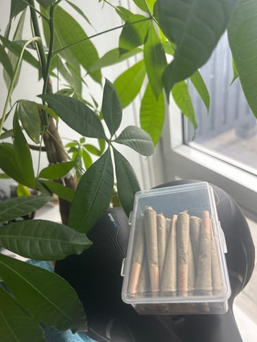 Customer photo review of Oreoz - Minis - 28 Grams - Hybrid