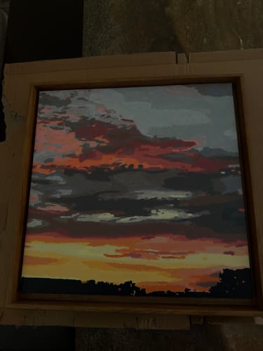 Customer photo review of CUSTOM PAINT BY NUMBER KIT