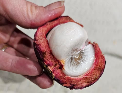 Ein Kunde hält eine frisch aufgeschnittene Mangostan in der Hand, die das weiße Fruchtfleisch zeigt.